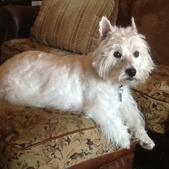 Profile Picture of Lynda Breidenbach (@sleekheel39) on Poshmark