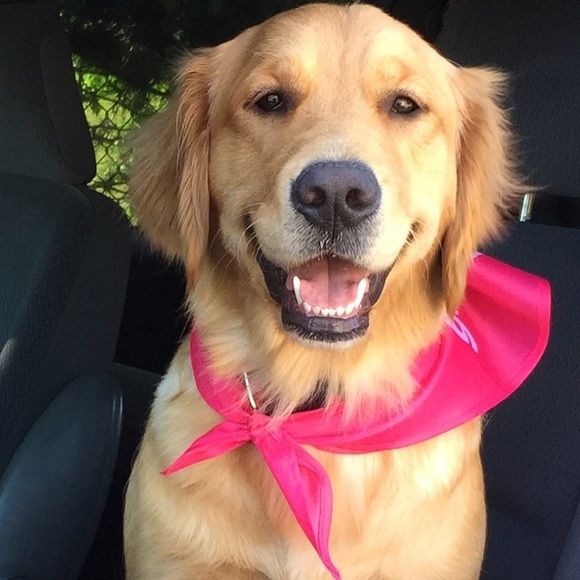 Cheyanne Nuorala - Poshmark Profile Picture of Cheyanne Nuorala (@cheyannemn) on Poshmark