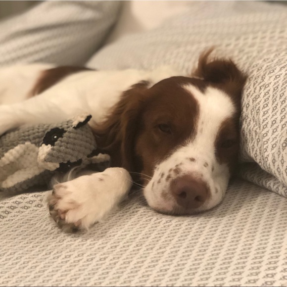 Profile Picture of Wesley Martin (@wesley_martin) on Poshmark