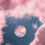 Profile Picture of Chow Leslie Alan (@Chow-Leslie-Alan) on Facebook