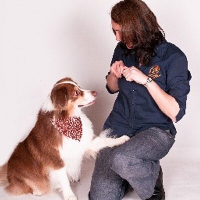 Profile Picture of Scholars In Collars (@ScholarsCollars) on Twitter