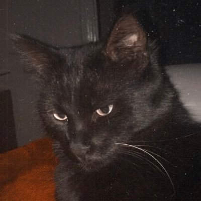 Profile Picture of Nilüfer Aktüre (@AktureNilufer) on Twitter