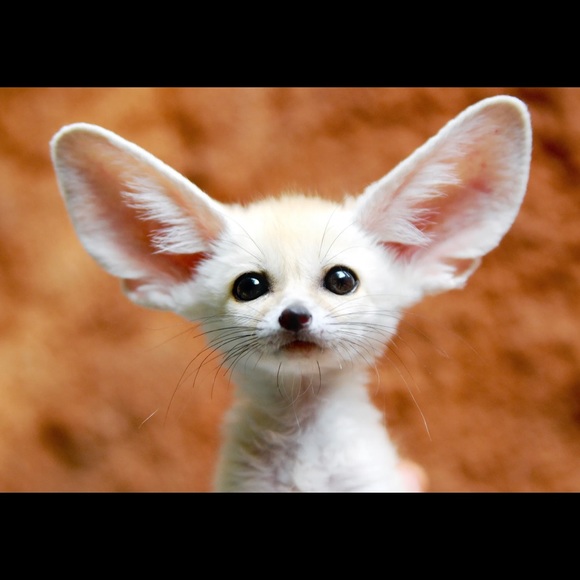 Profile Picture of Shawn Miller (@shawnmiller177) on Poshmark