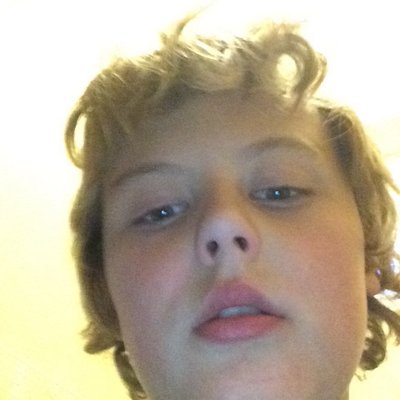 Profile Picture of Guineapigking (@CameronSwartz3) on Twitter