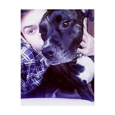 Profile Picture of Alex Schatz (@thealexschatz) on Twitter