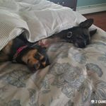 Profile Picture of ☠💀Mike Ventrella💀☠ (@roadkingmv) on Instagram