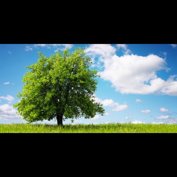 Profile Picture of Ada Diaz (@adagar77) on Poshmark