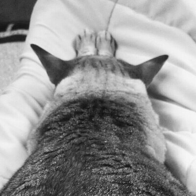 Pat Gruber - Twitter Profile Picture of Pat Gruber (@pggheb41415) on Twitter