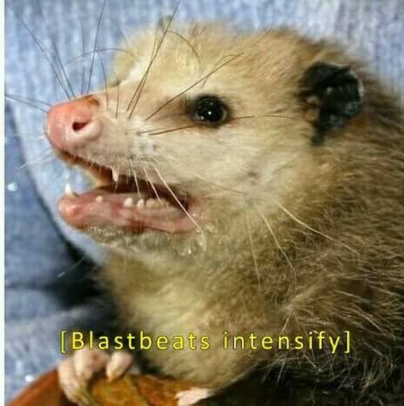 Profile Picture of Alexander Jarred (@drdoggomd) on Poshmark