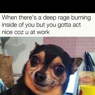 Profile Picture of Matt Derienzo (@derienzo_matt) on Twitter