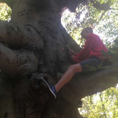 Profile Picture of Adam Meller (@adam_meller) on Twitter