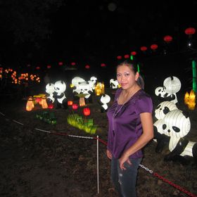 Profile Picture of Mary Wong (@mwong626) on Pinterest