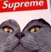 Profile Picture of Seth James (@seth.james.161446) on Facebook