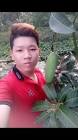 Profile Picture of   Thanh Nguyen... (@user89100567) on Tiktok