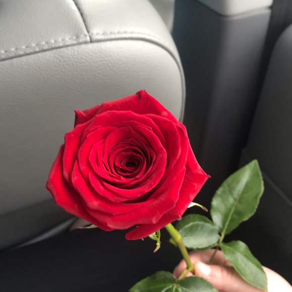 Profile Picture of Destiny Kappers (@kap825) on Poshmark