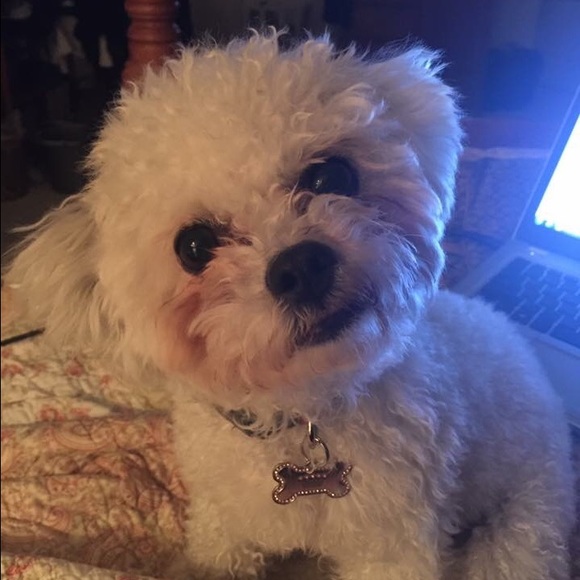 Shari Vandergast - Poshmark Profile Picture of Shari Vandergast (@vandergast) on Poshmark