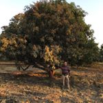 Profile Picture of Sanjay Mehta (@transglobe01) on Instagram