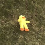 Profile Picture of David Kinnear (@frenchmen3) on Instagram