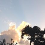 Profile Picture of Steve Jacobsen (@jakearts8200) on Instagram
