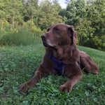 Profile Picture of Tammy Renee Turley (@tammy.t.turley) on Instagram