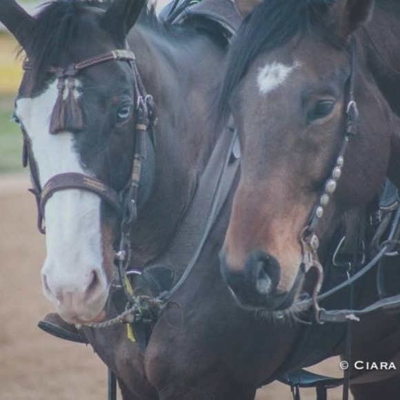 Profile Picture of Jess Knox (@jknox85) on Poshmark