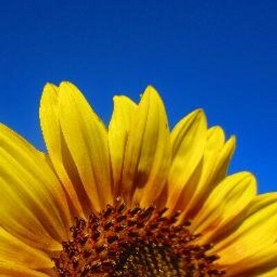 Profile Picture of Jason Stout (@Obewise) on Twitter