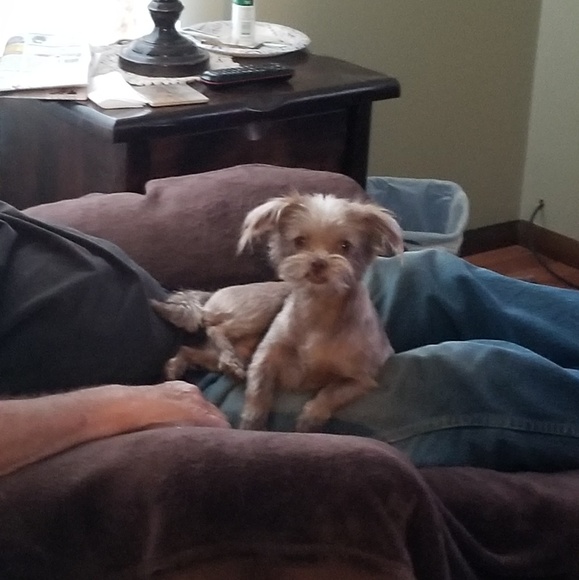 Profile Picture of Susan Kanouff (@susankanouff) on Poshmark