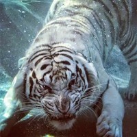Profile Picture of Eugene Burns (@eugene-burns-1) on Quora