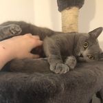 Profile Picture of Dave Malone (@mako_malone) on Instagram