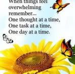 Profile Picture of Tammy Bobbitt (@tammy.bobbitt) on Facebook