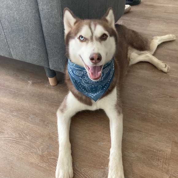 Profile Picture of Fabian Colin (@fabian_phs) on Poshmark