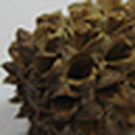 Profile Picture of Fatima Moh'd (@fatima ahmed) on Flickr