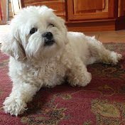 Profile Picture of Kate Joseph (@katejoseph8831) on Youtube