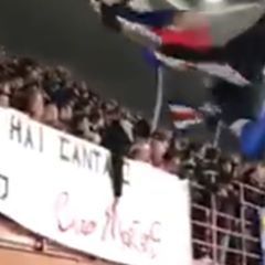 Profile Picture of Gregory Piazza (@gregorypiazza) on Tiktok