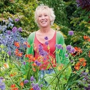 Profile Picture of Carol Klein (@CarolKlein) on Twitter