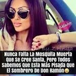 Profile Picture of Yolanda Mendiola Blas (@mendiolablas) on Instagram