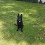 Profile Picture of Scott Plunkett (@scott_plunkett_) on Instagram