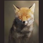 Profile Picture of Alex Nesterenko (@nstrnko.alex) on Instagram