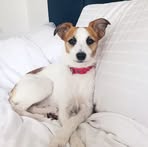 Profile Picture of Maria Bowes (@Maria-Bowes) on Facebook