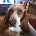 Profile Picture of Patty Mitts (@patty.mitts.9) on Facebook