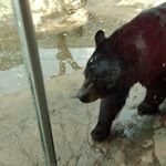 Profile Picture of Sam Harrington (@sharrington444444444444) on Instagram