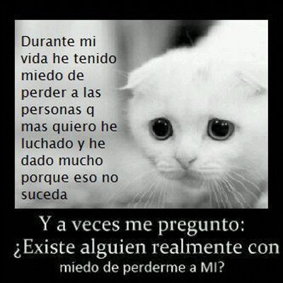 Profile Picture of Heaven Jimenez (@heaven_jimenez) on Twitter