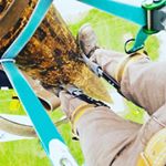 Derek Frederick - Instagram Profile Picture of Derek Frederick (@dfreddy31) on Instagram