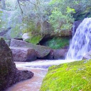 Ronald Muller Leal - Twitter Profile Picture of Ronald Muller Leal (@RonaldMullerLe1) on Twitter