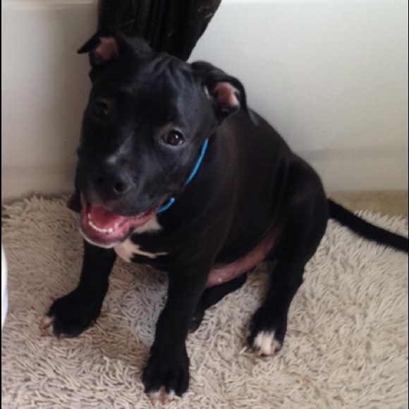 Profile Picture of Nicole Roker (@pretty_redd03) on Poshmark