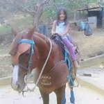 Profile Picture of carlosalcedo (@carlosalcedo2020) on Instagram