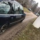 Profile Picture of   Gres @adam.gook | with... (@oskarmalmgrenn) on Tiktok