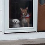 Profile Picture of Bobbi Huber (@bobbihuber9055) on Instagram