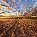 Profile Picture of Kory Wittmer (@kory.wittmer) on Facebook