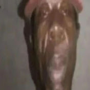 Profile Picture of Lucas Lucas (@LucasLucas-h2u) on Youtube